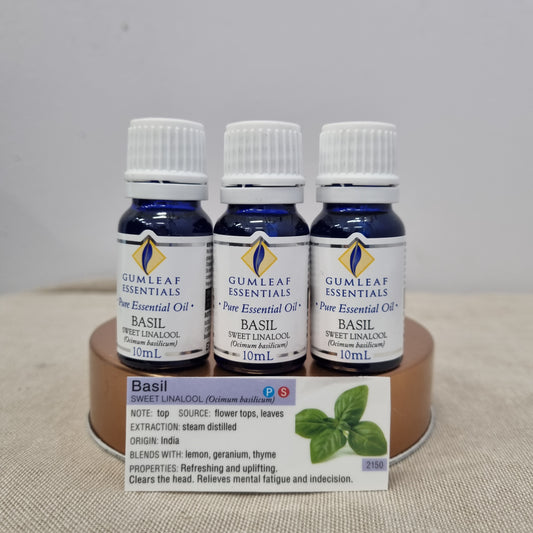 Gum leaf Essential Oils - Basil