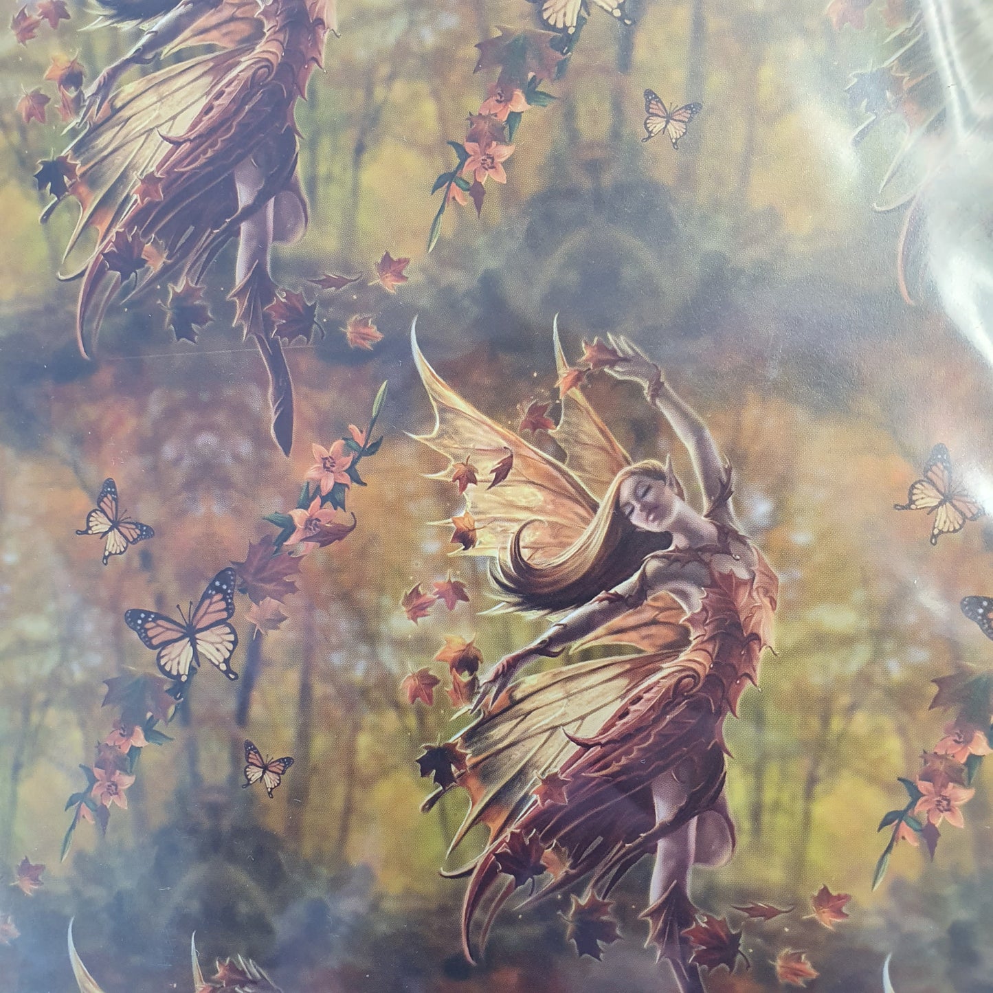Wrapping Paper by Anne Stokes